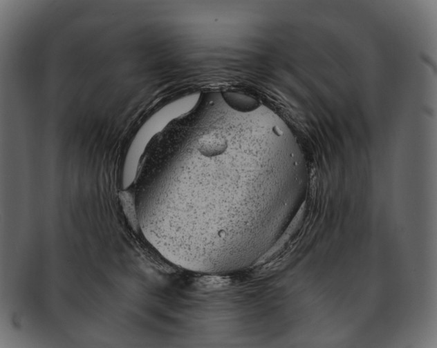 X0000091900421200709191241