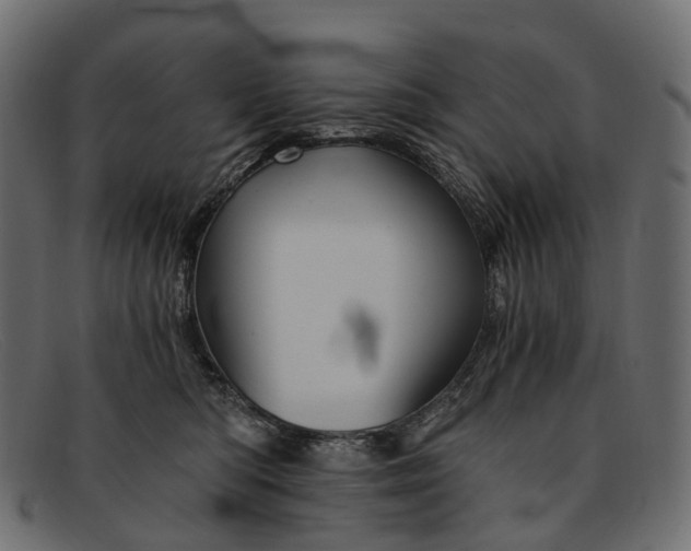 X0000091900422200709191241