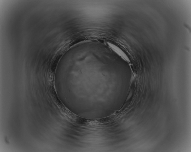 X0000091900423200709191241