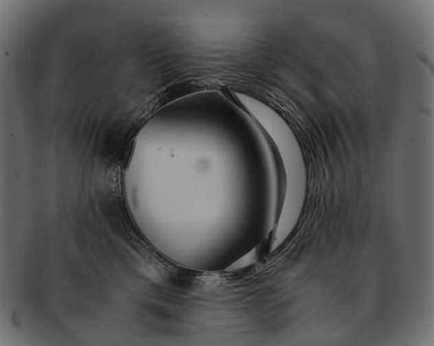 X0000091900425200709191241