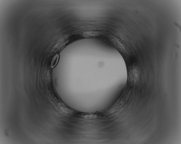 X0000091900426200709191241