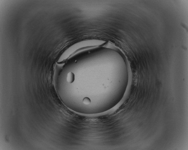 X0000091900428200709191241