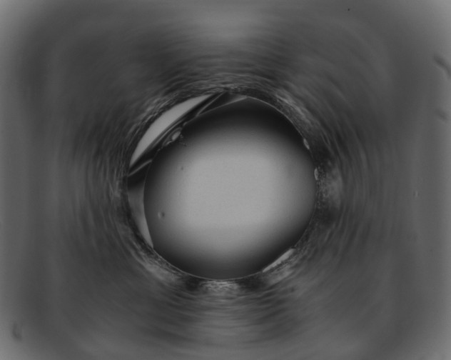 X0000091900429200709191241