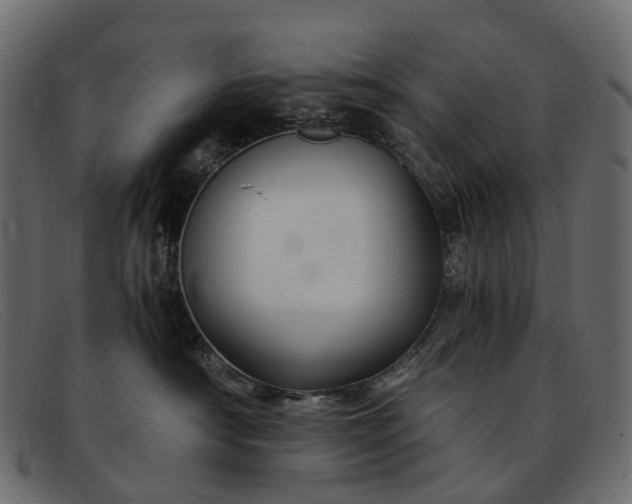 X0000091900430200709191241