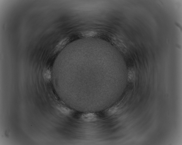 X0000091900431200709191241