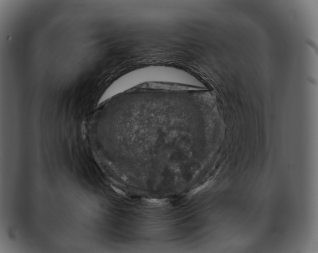 X0000091900432200709191241