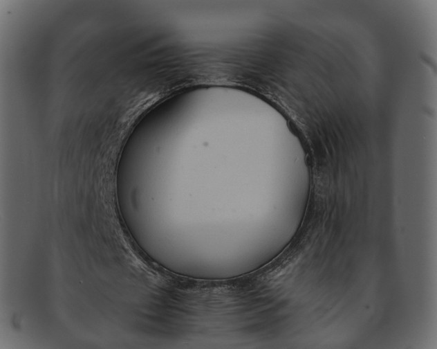 X0000091900433200709191240