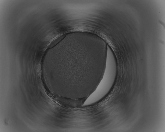 X0000091900434200709191240