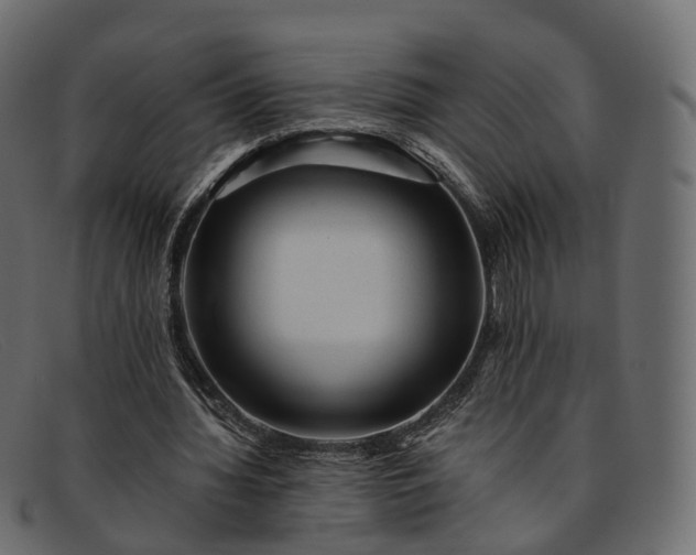 X0000091900436200709191240