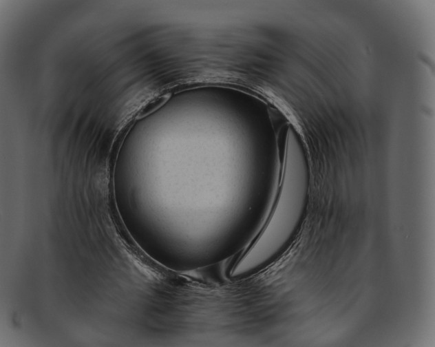 X0000091900437200709191240