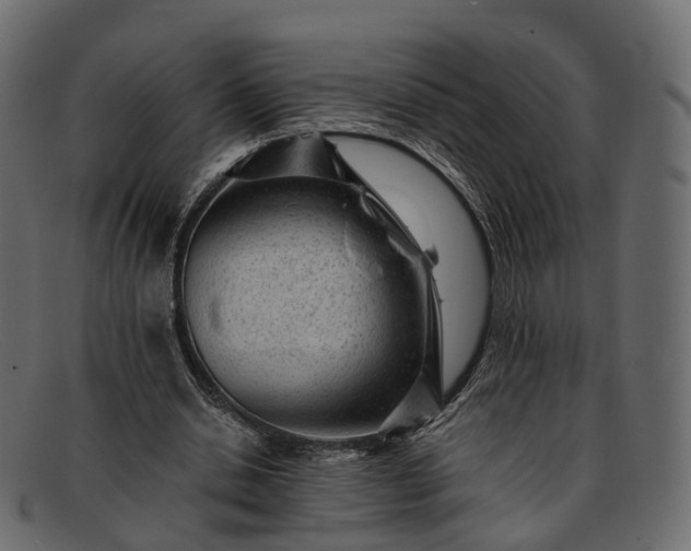 X0000091900438200709191240