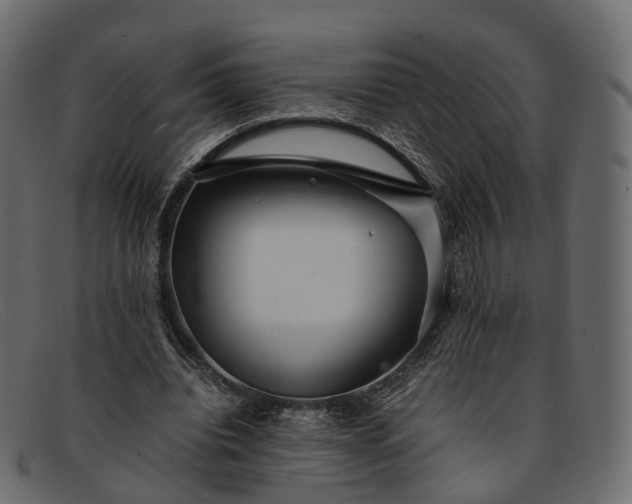 X0000091900440200709191240