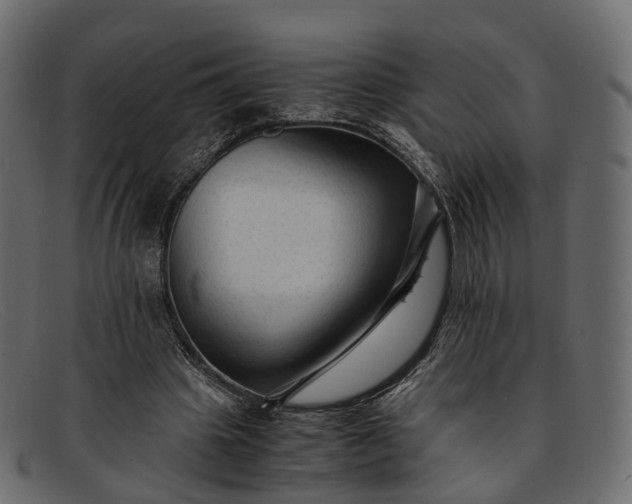 X0000091900441200709191240