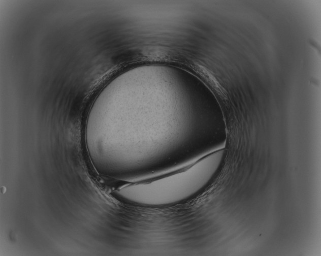 X0000091900442200709191240