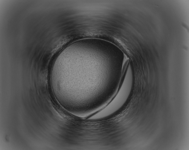 X0000091900443200709191240