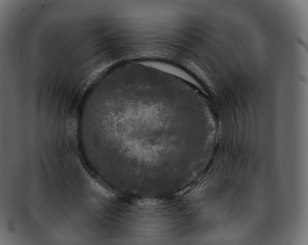 X0000091900444200709191240