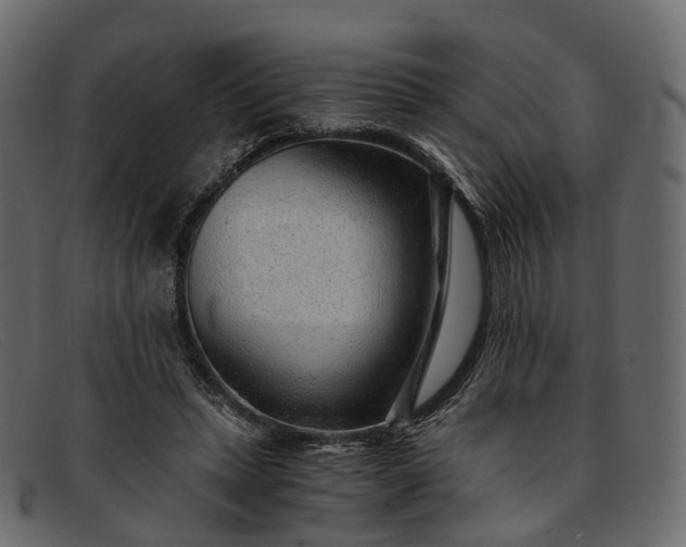 X0000091900447200709191240