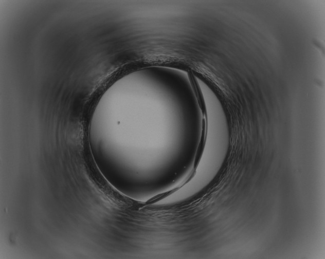 X0000091900448200709191240