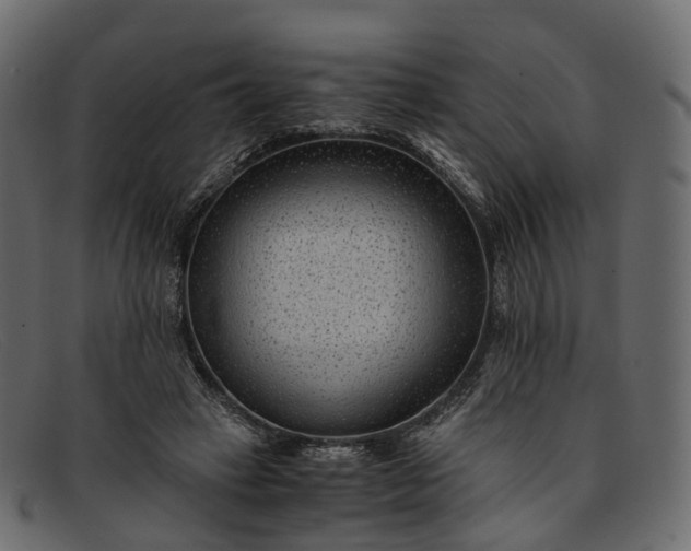 X0000091900449200709191240