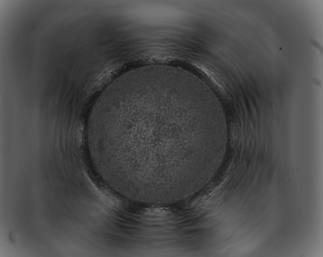 X0000091900451200709191240