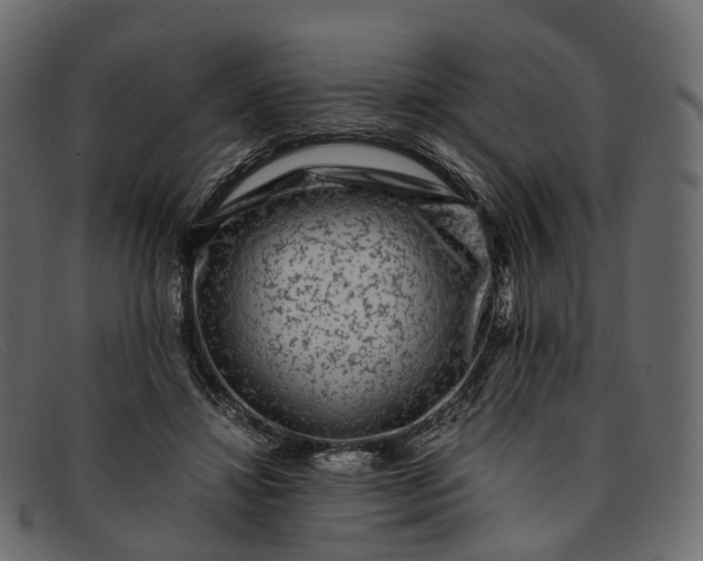 X0000091900452200709191241