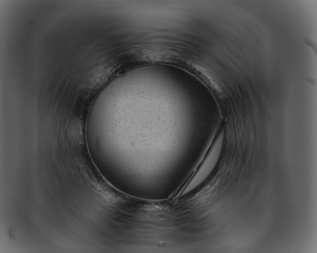 X0000091900453200709191241