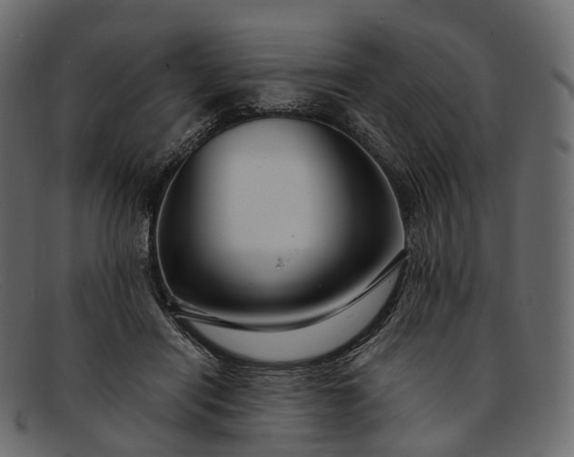 X0000091900454200709191241