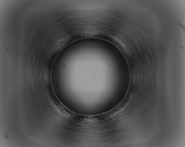 X0000091900455200709191241