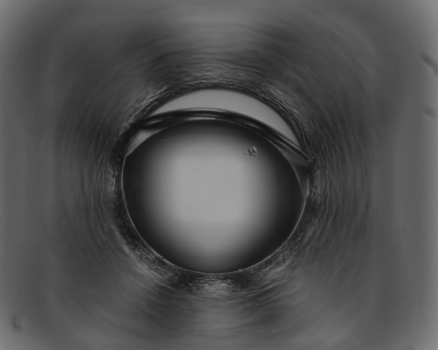 X0000091900456200709191241