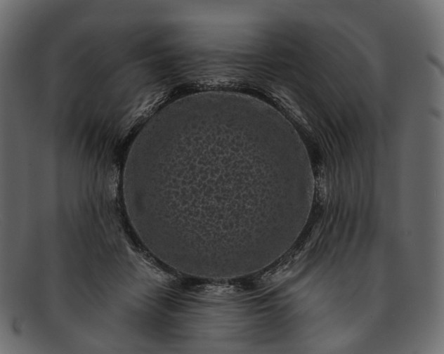 X0000091900458200709191241