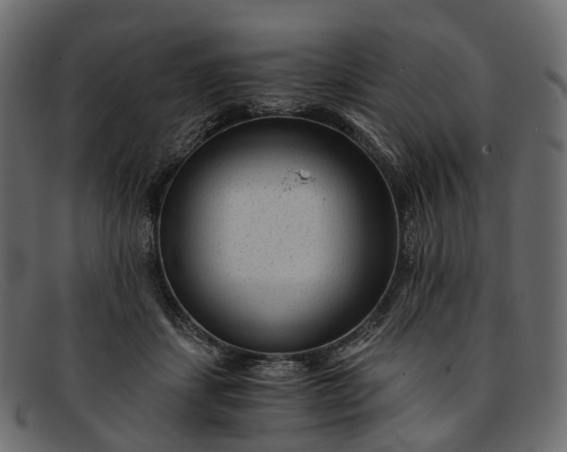 X0000091900459200709191241