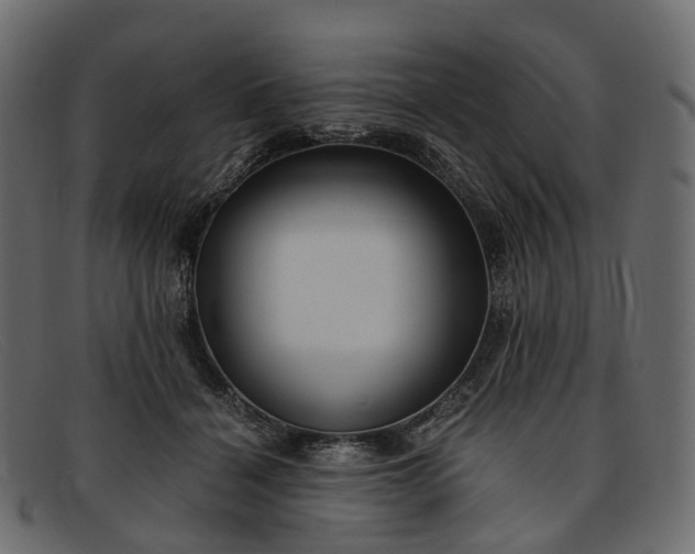 X0000091900460200709191241