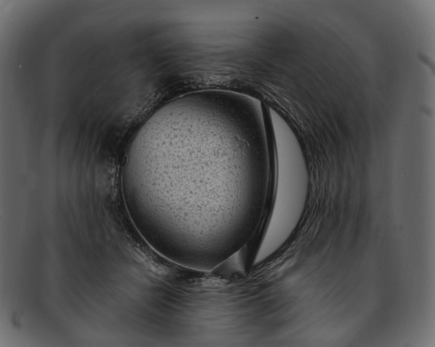 X0000091900462200709191241