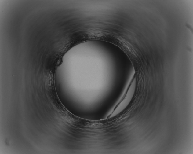 X0000091900463200709191241