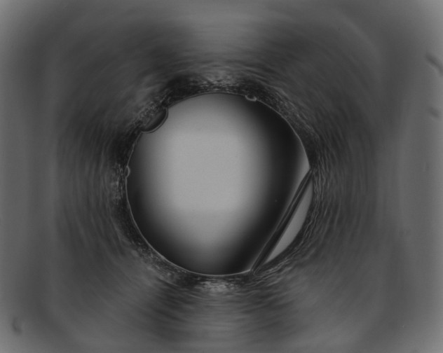 X0000091900464200709191241