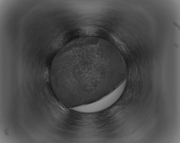 X0000091900465200709191241