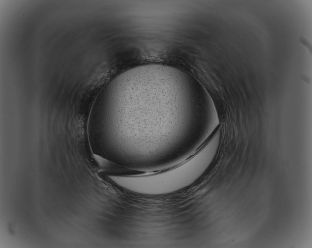 X0000091900466200709191241