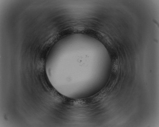 X0000091900468200709191241