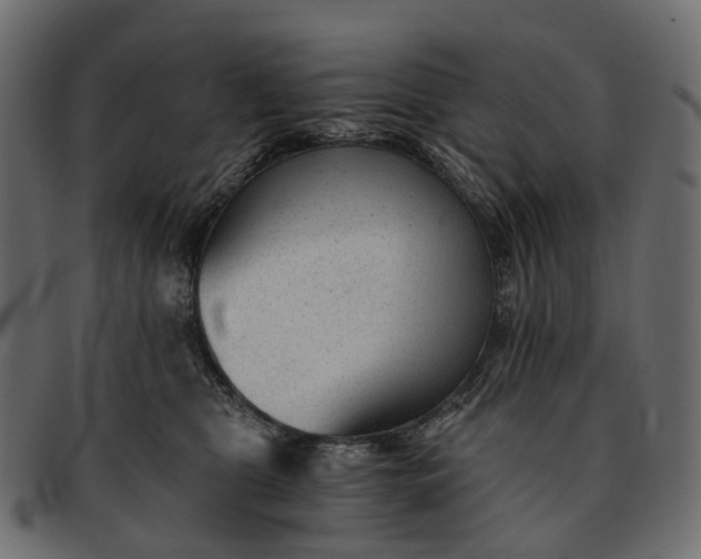 X0000091900469200709191241