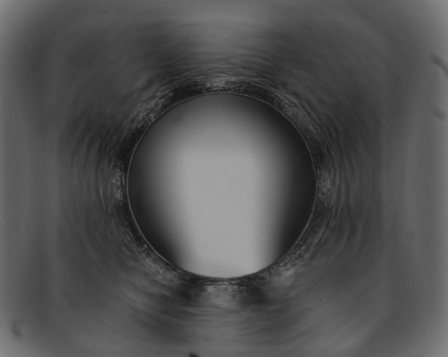 X0000091900470200709191241