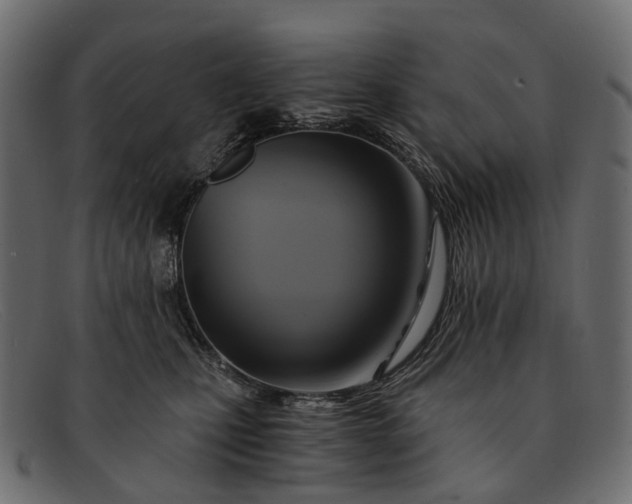 X0000091900471200709191241