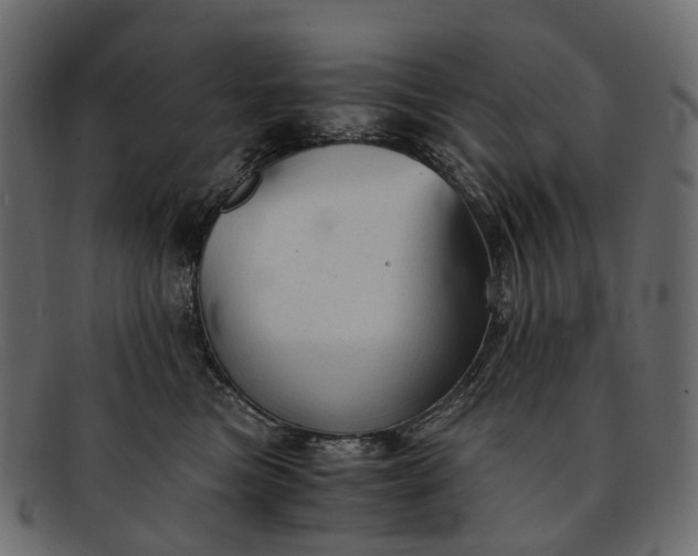 X0000091900473200709191241