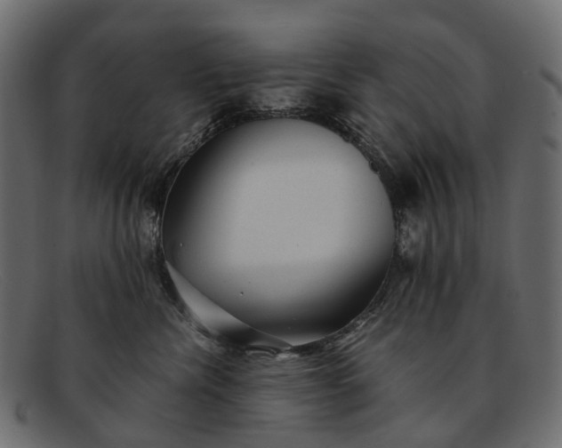 X0000091900476200709191241