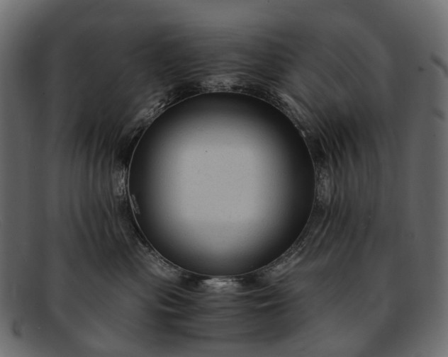 X0000091900477200709191241