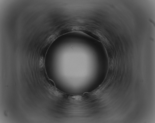 X0000091900478200709191241