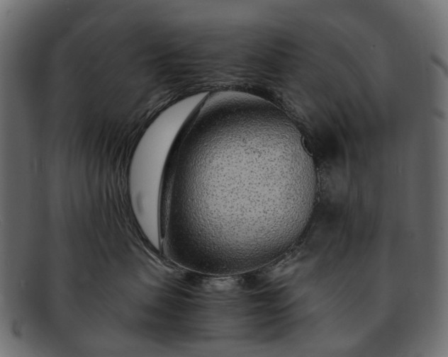 X0000091900479200709191241