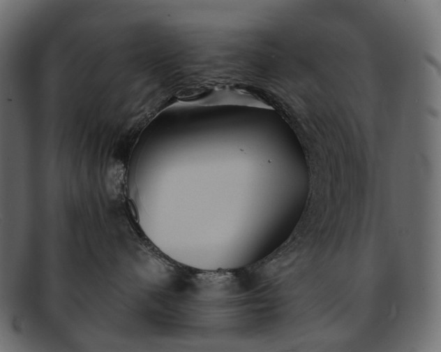 X0000091900480200709191241