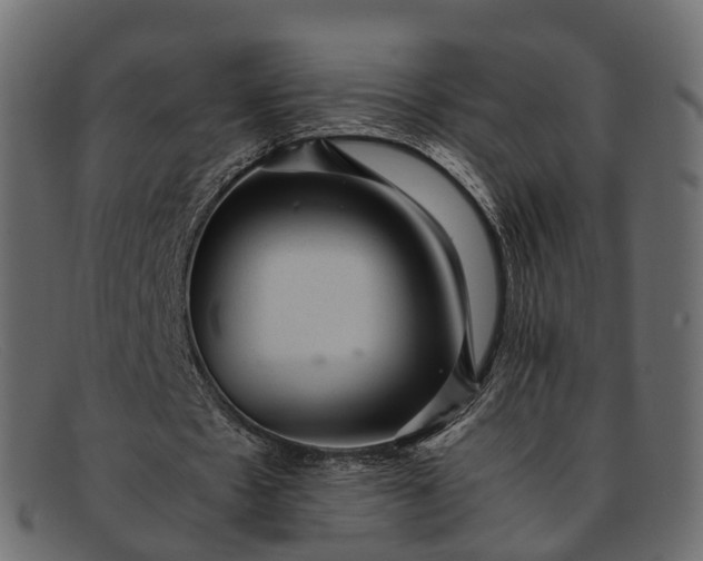 X0000091900481200709191240