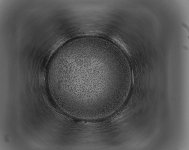 X0000091900483200709191240