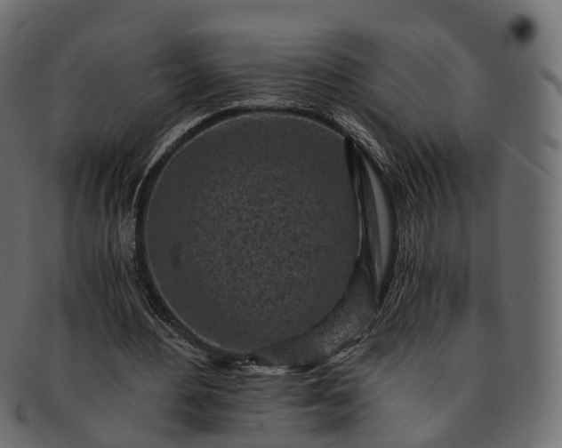 X0000091900484200709191240